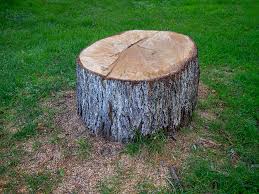 Best Lot and Land Clearing  in Reedley, CA
